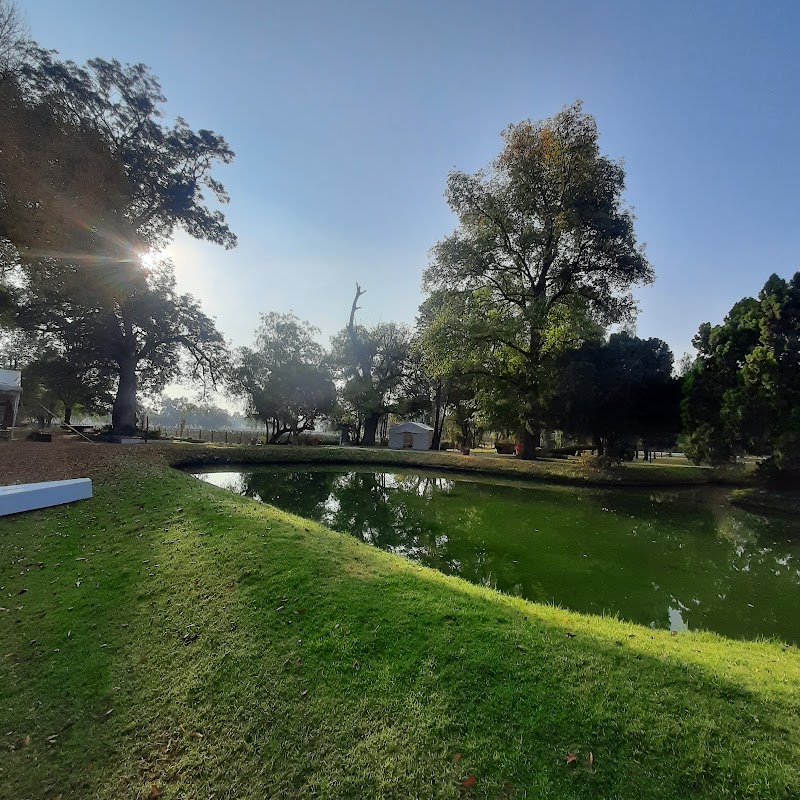 Hacienda Amazcala photo 2