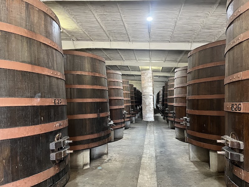 LA Cetto photo 4