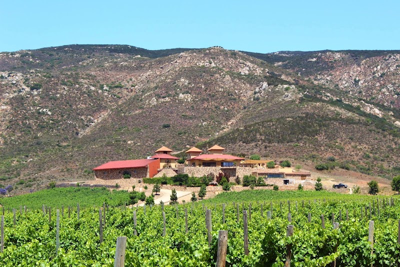 Las Nubes Bodegas y Viñedos photo 2