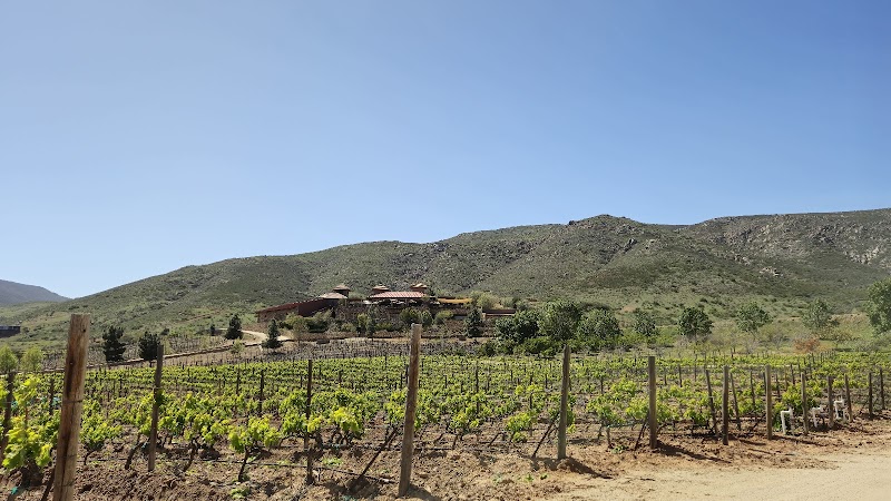 Las Nubes Bodegas y Viñedos photo 3