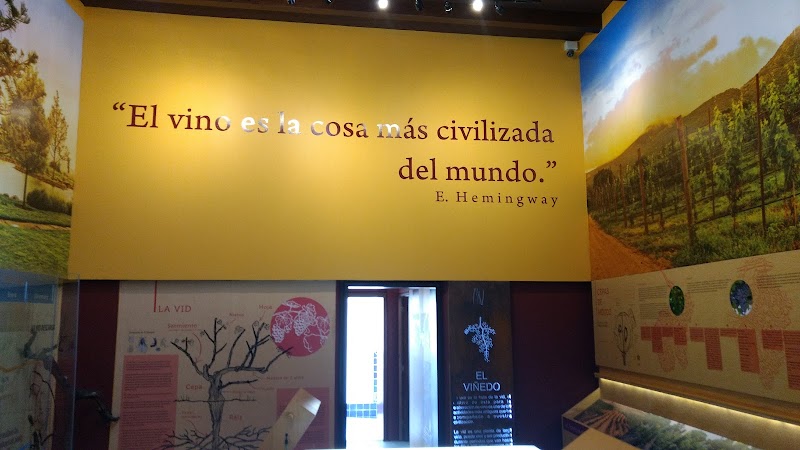Museo del Vino de Guanajuato photo 4
