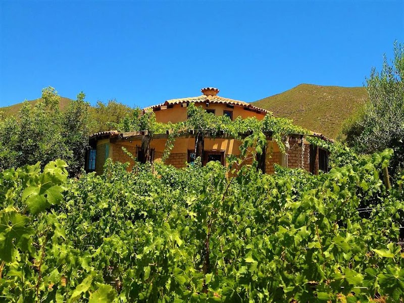 Nativo Vinicola photo 2