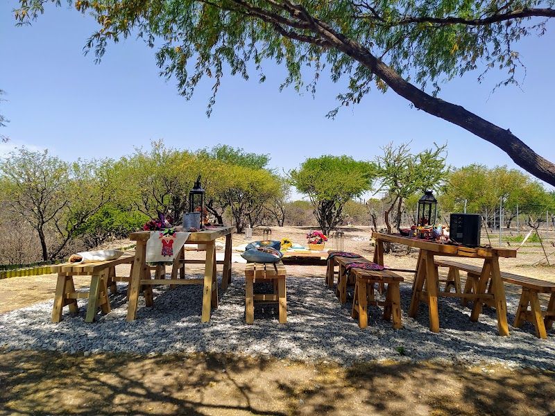 Puente Josefa Vineyards photo 1