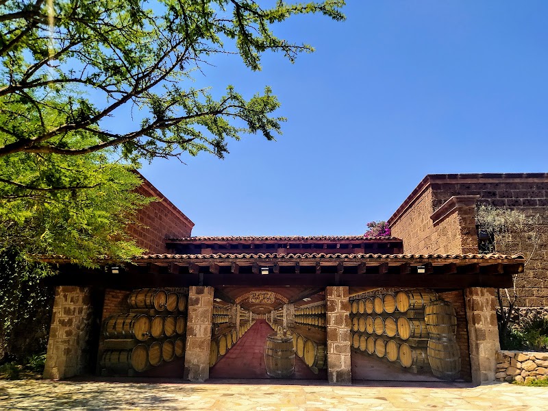 Puente Josefa Vineyards photo 2