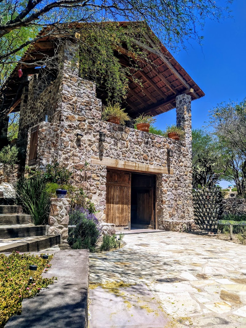 Puente Josefa Vineyards photo 4