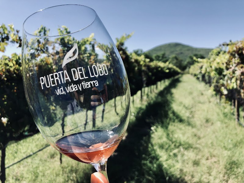 Puerta del Lobo photo 2
