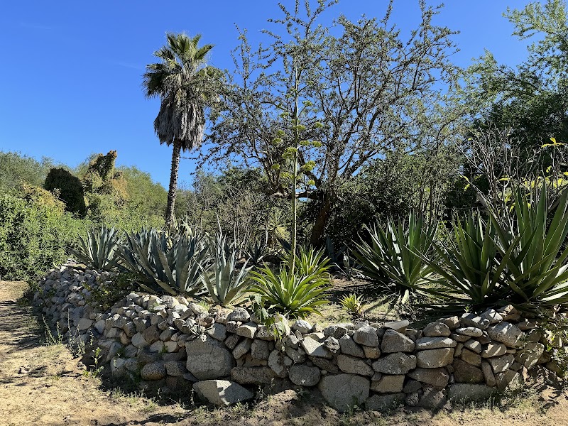 Rancho La Venta photo 2