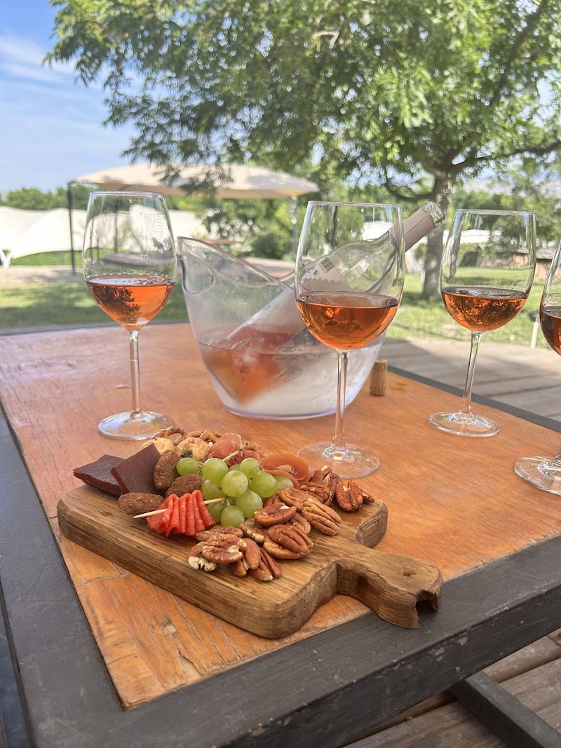 RGMX Viñedo Buena Fe photo 1