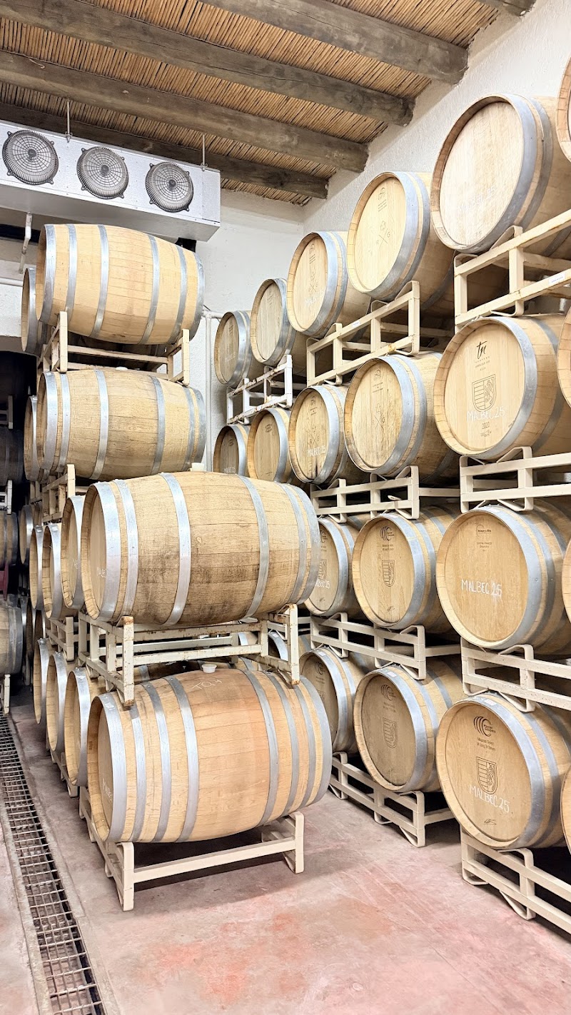 RGMX Viñedo Buena Fe photo 2