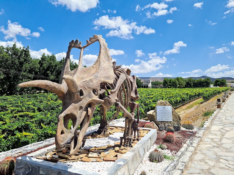 RGMX Viñedo Buena Fe photo 4