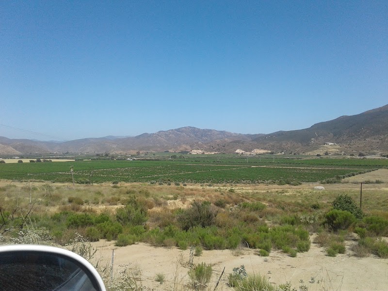 Rutas del Vino Mexicano photo 2