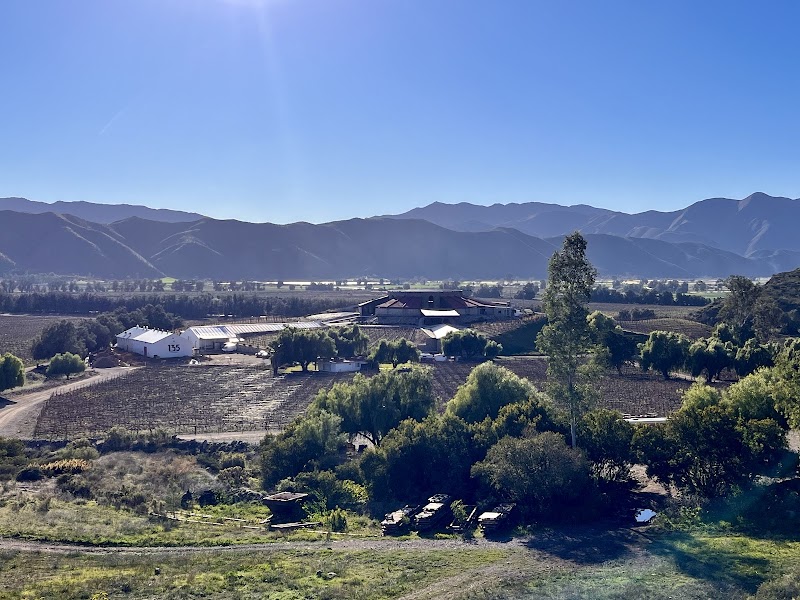 Santo Tomas winery photo 2