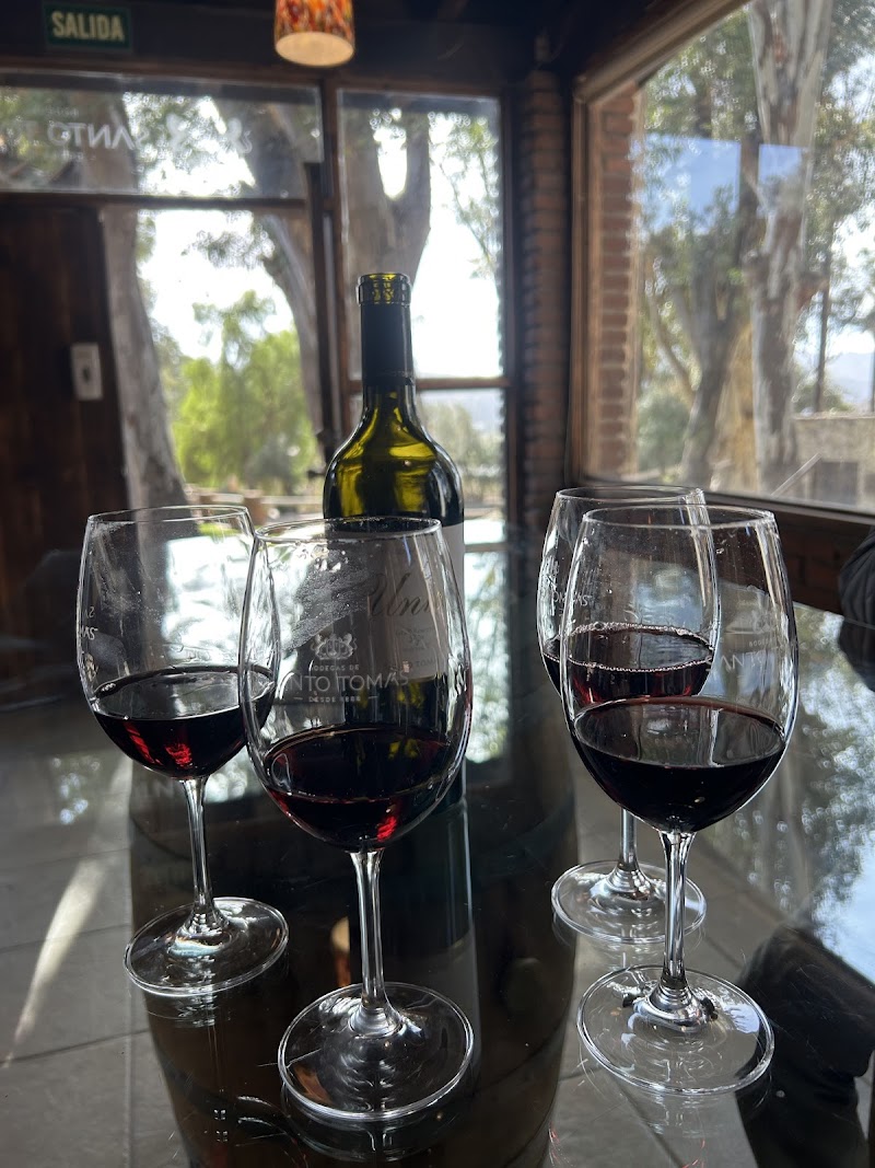 Santo Tomas winery photo 4