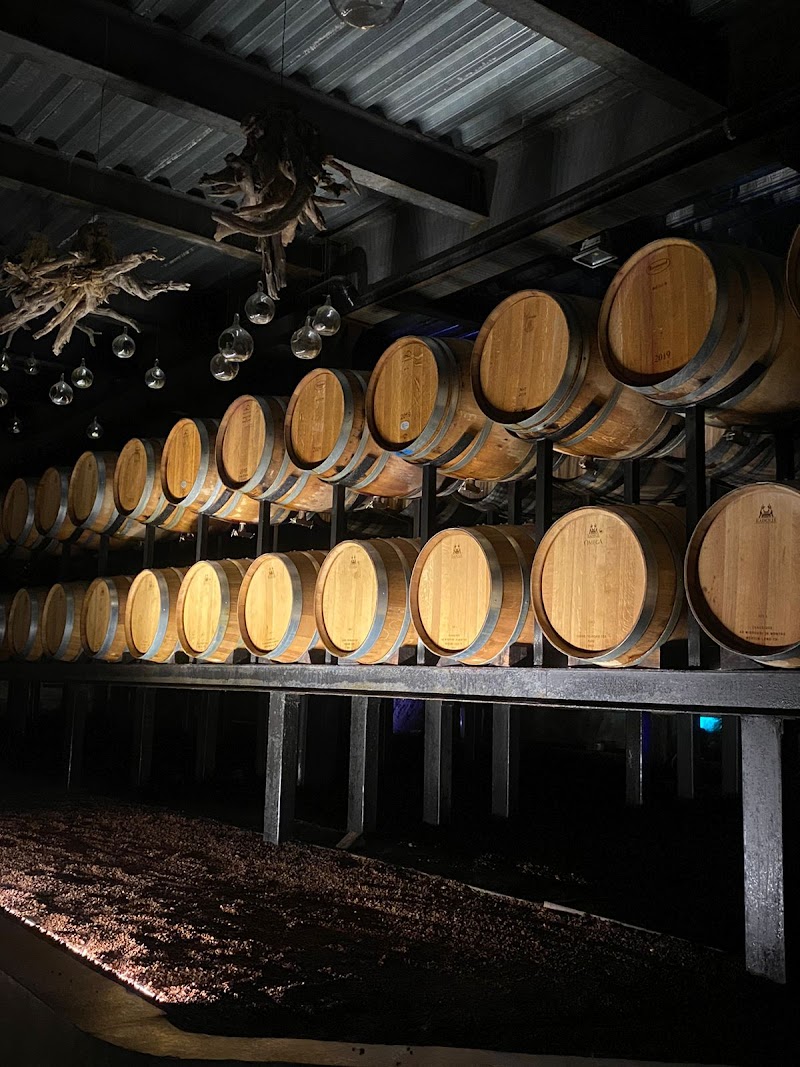 The Wine Napa Valley photo 2