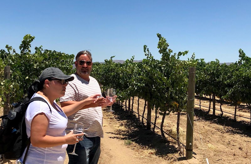 The Wine Napa Valley photo 3