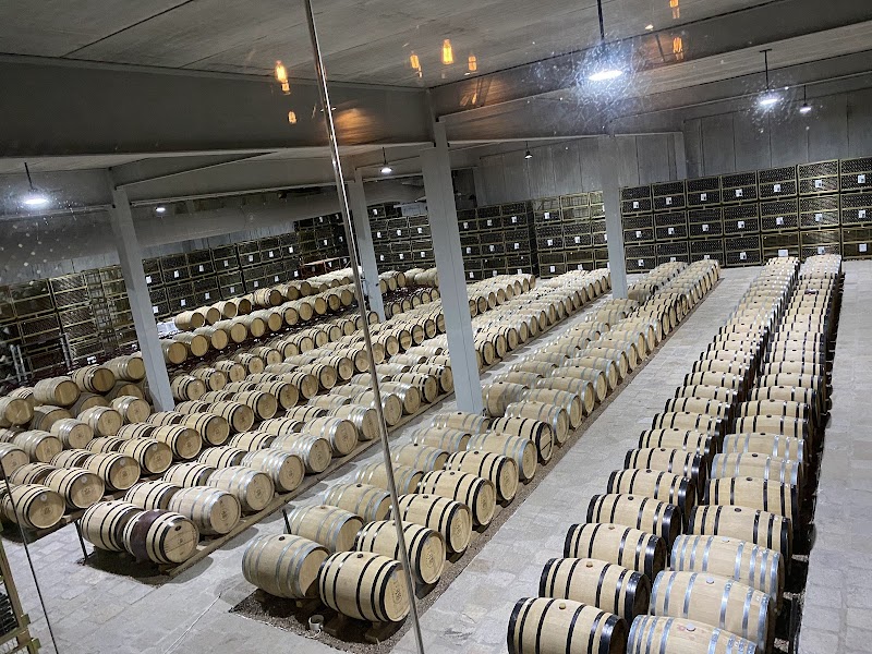 Tres Raíces photo 4