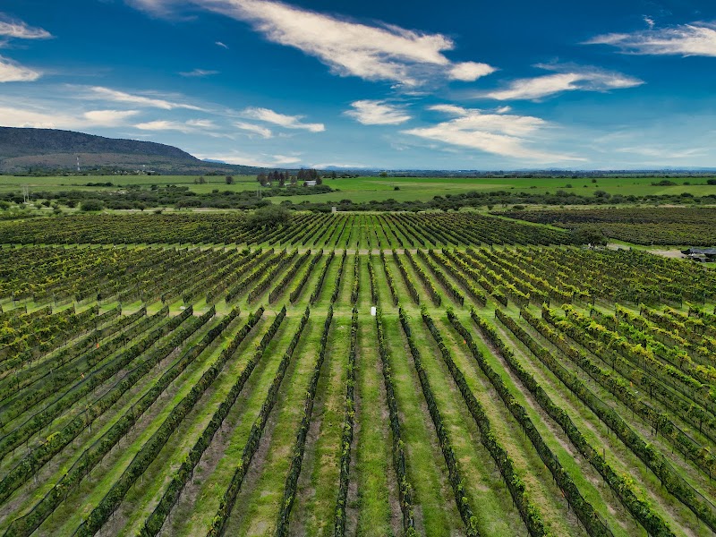 Tres Raíces photo 5