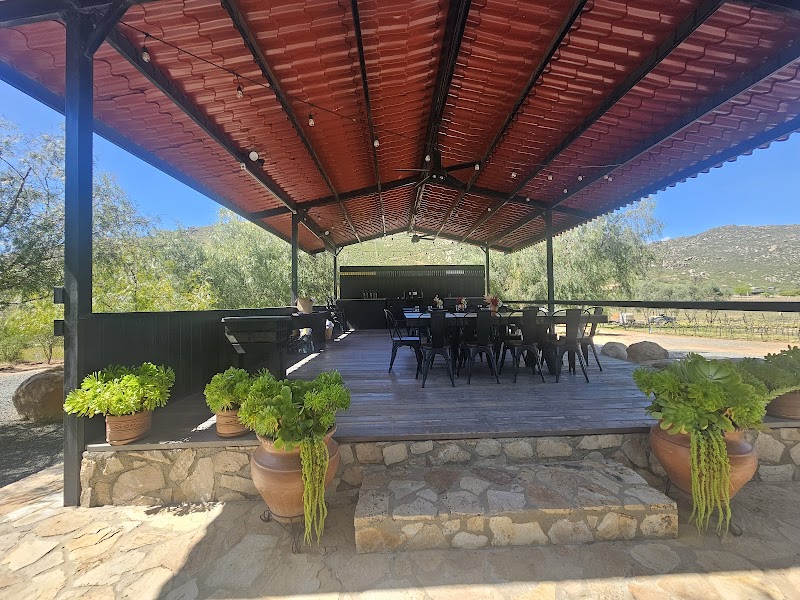 TREVISTA Vineyards photo 1