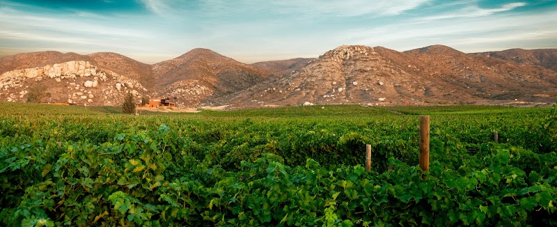 Villa Montefiori photo 1