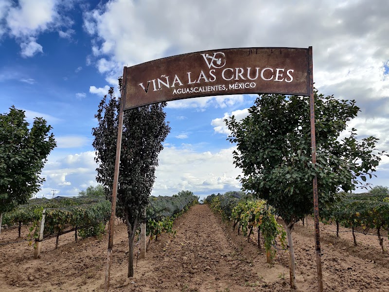 Viña Las Cruces photo 3