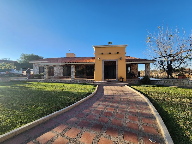 Viña Las Cruces photo 4