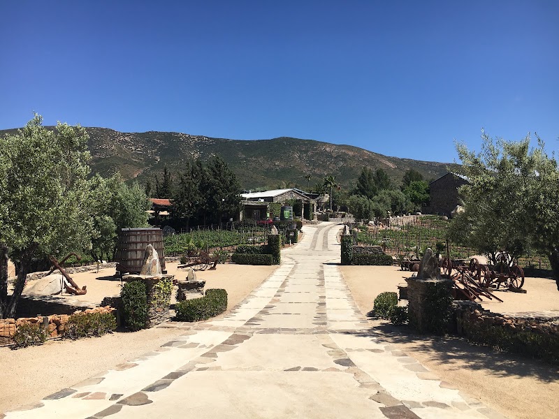 Viñas de Garza photo 1