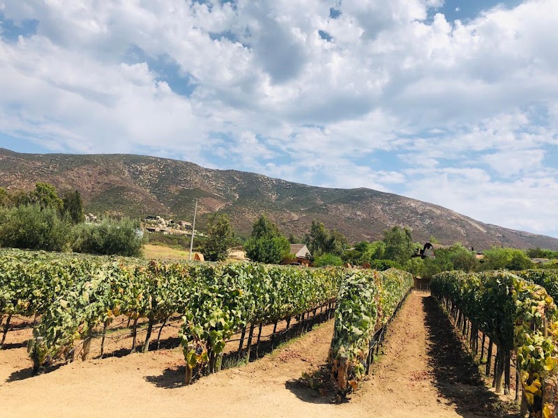 Viñas de Garza photo 2