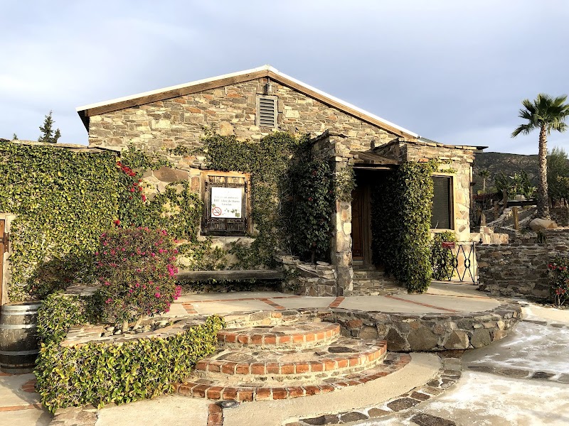 Viñas de Garza photo 3