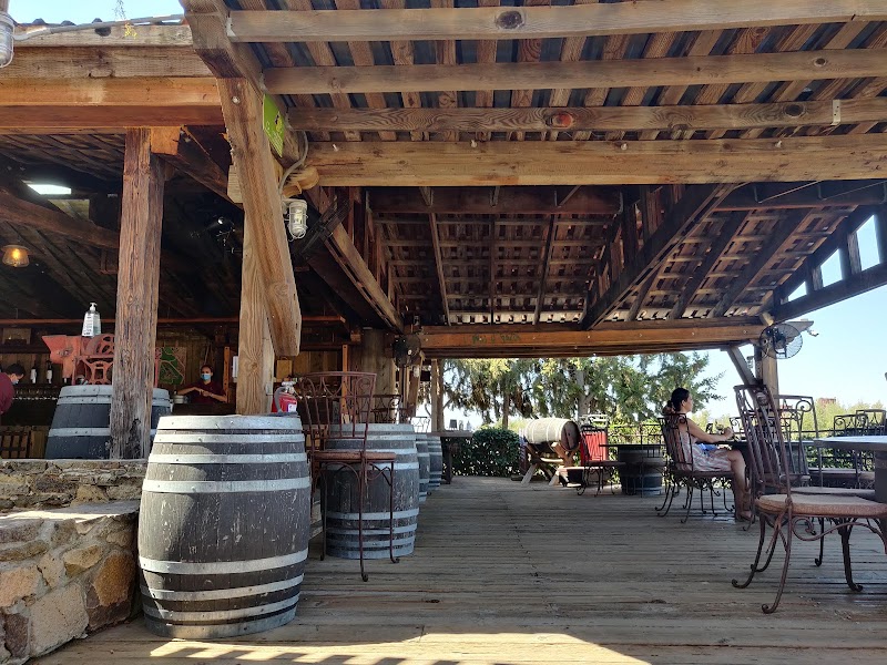 Viñas de Garza photo 4