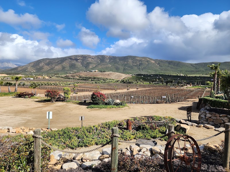 Viñas de la ERRE photo 2