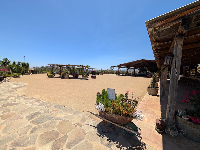 Viñas de la ERRE photo 3