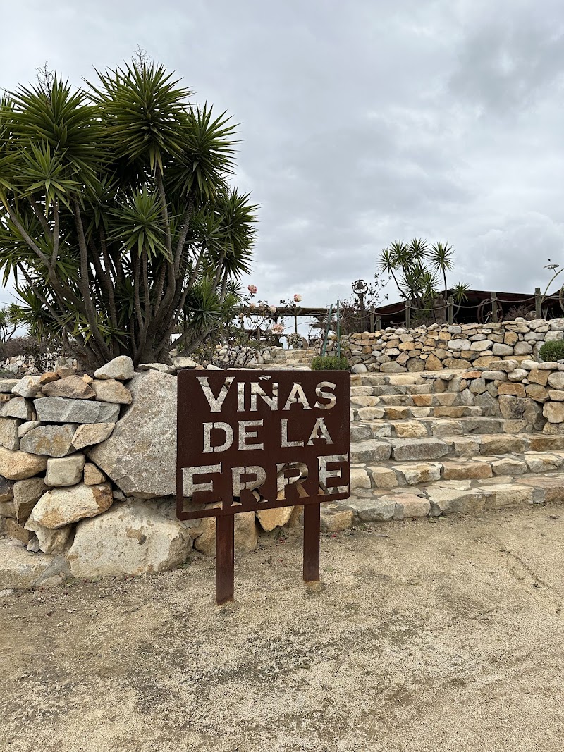 Viñas de la ERRE photo 4