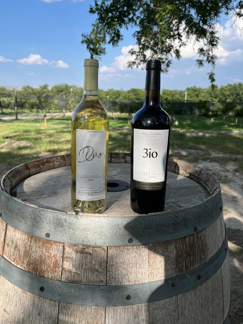 Viñedo "Hacienda del Marqués" photo 1