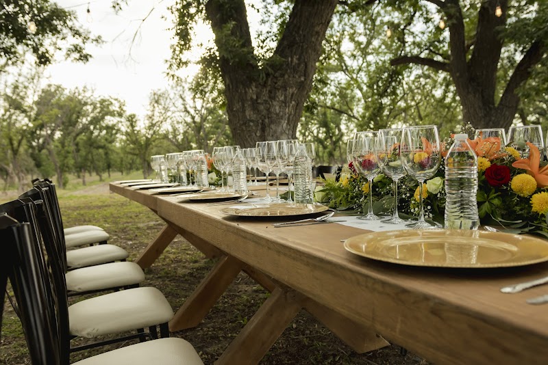 Viñedo "Hacienda del Marqués" photo 4