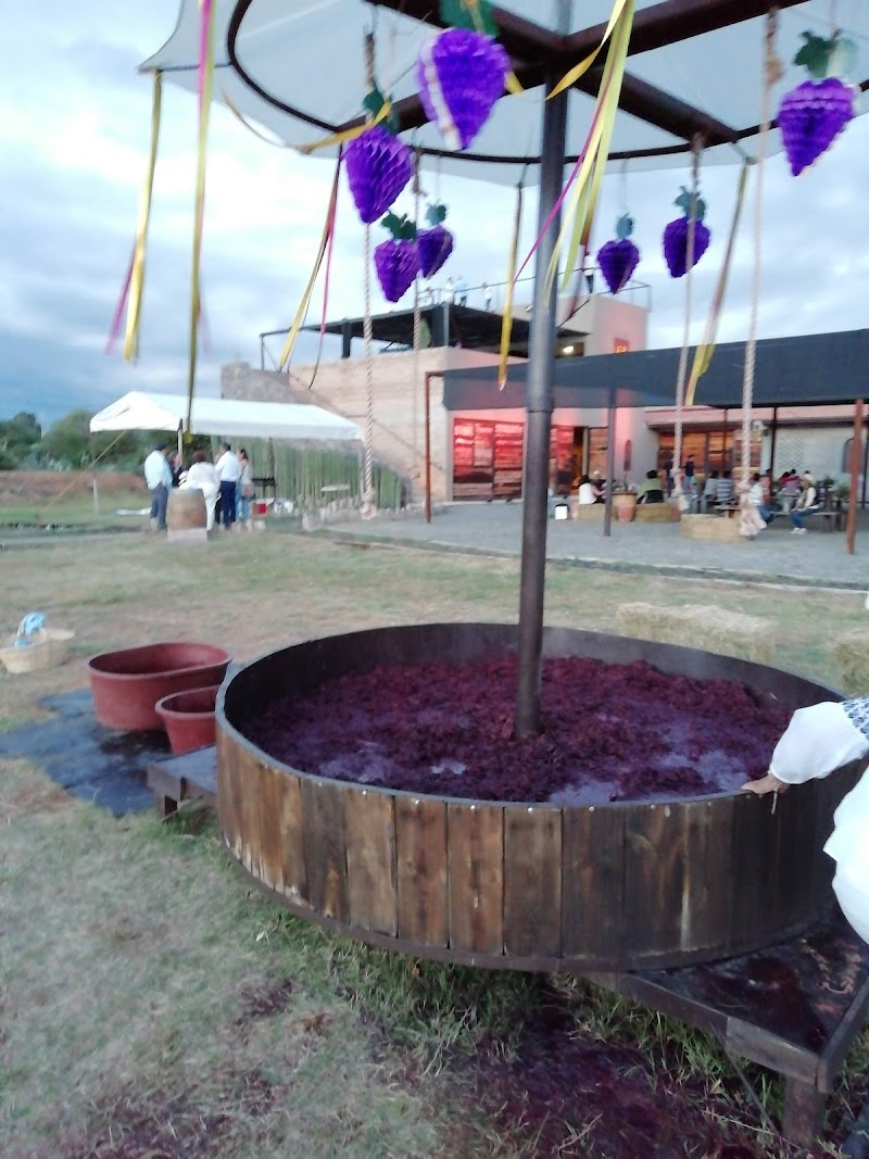 Viñedo Los Arcángeles photo 2
