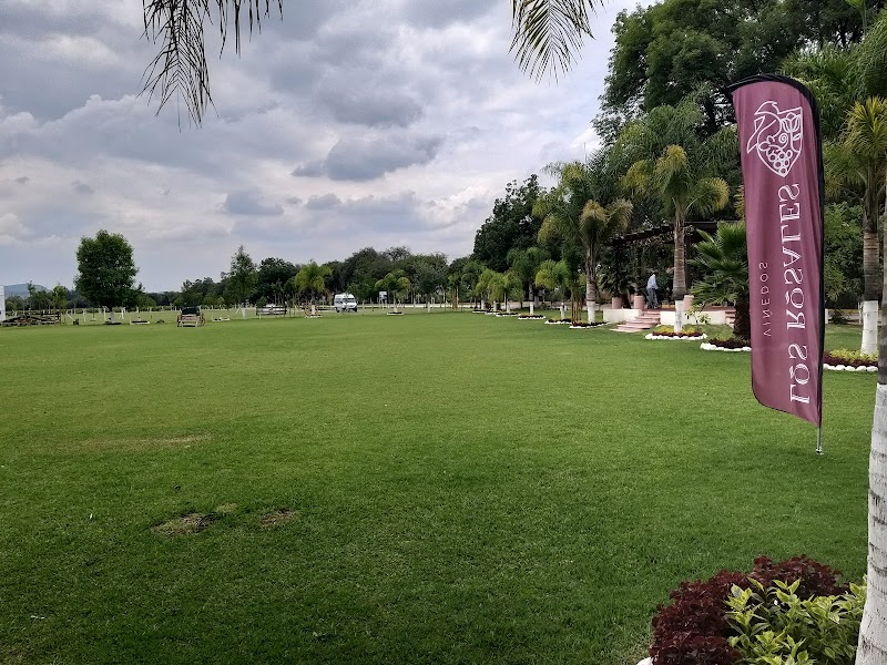 Viñedo Los Rosales photo 2