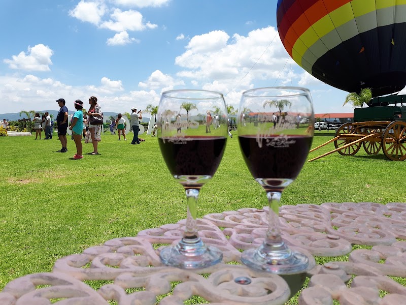 Viñedo Los Rosales photo 3