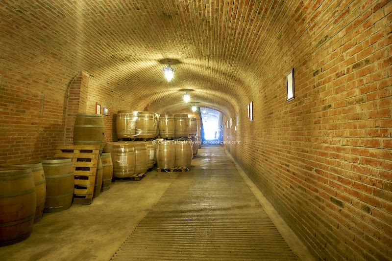 Viñedo Sala Vivé photo 4