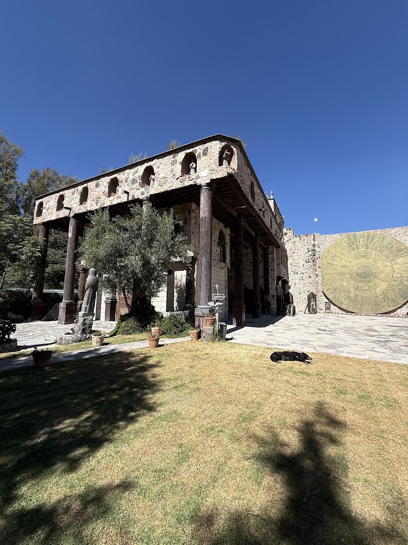 Viñedo Toyan photo 4