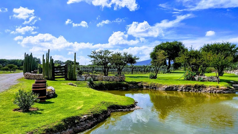 Viñedos Azteca photo 1