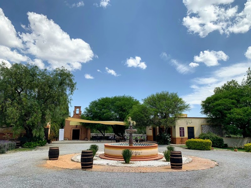 Viñedos Azteca photo 4