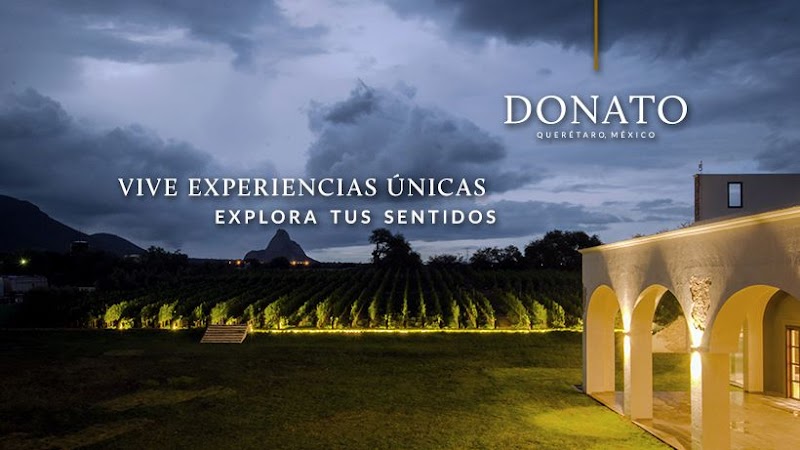 Viñedos Donato photo 1