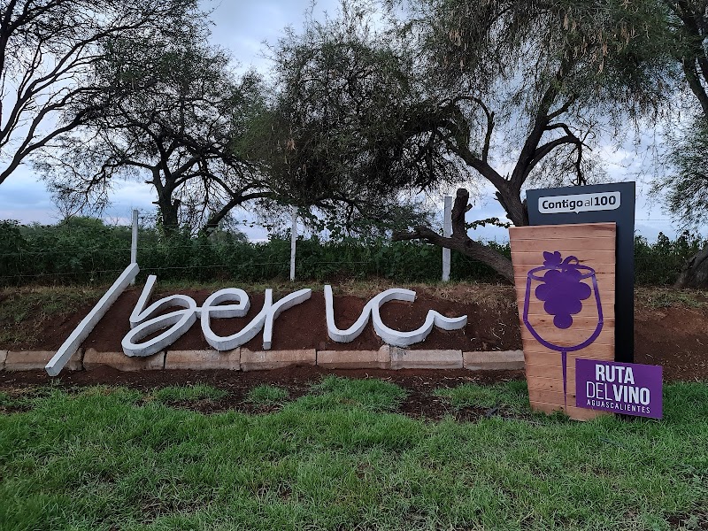 Viñedos Iberia photo 4