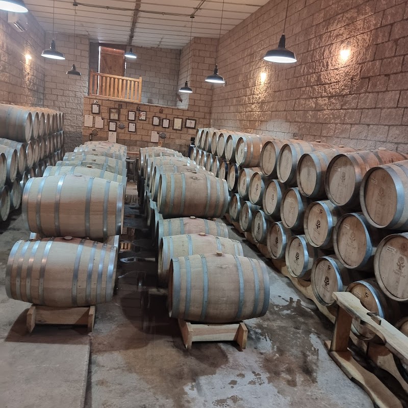 Viñedos Pájaro Azul photo 2