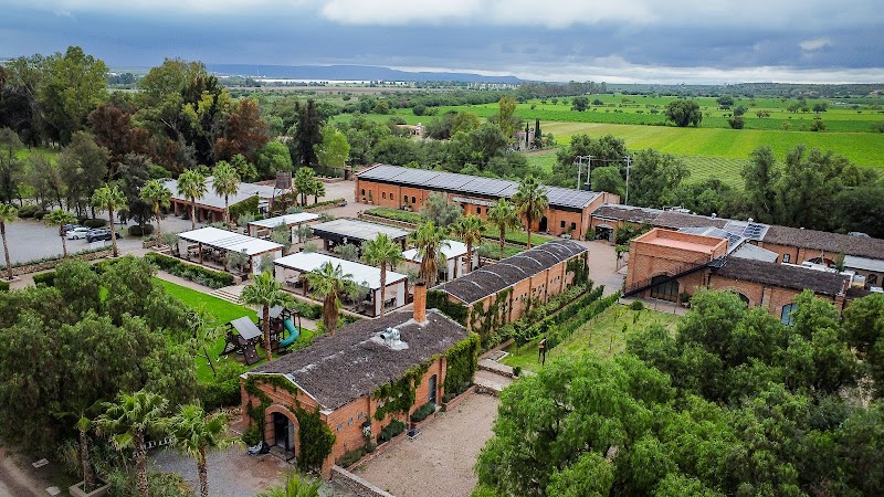 Viñedos San Lucas photo 1