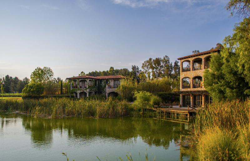 Viñedos San Lucas photo 3