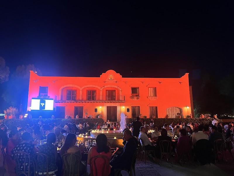 Viñedos Santa Mónica photo 2