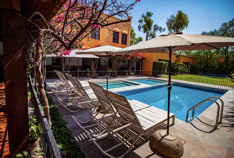 Viñedos Santa Mónica photo 3