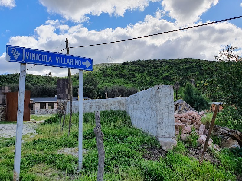 Viñedos Villarino photo 1