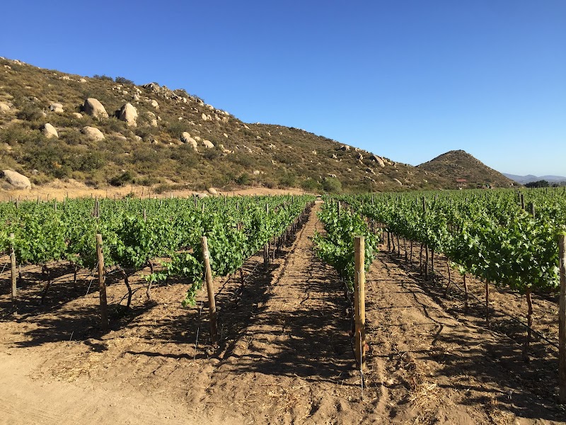 Vineyard Solar Fortún photo 2